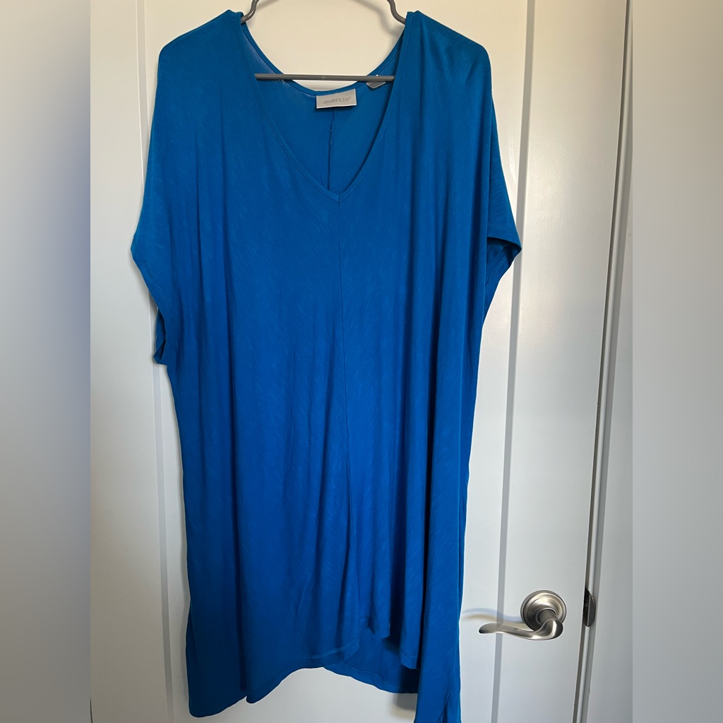 Plus Size V Neck Tunic Tee